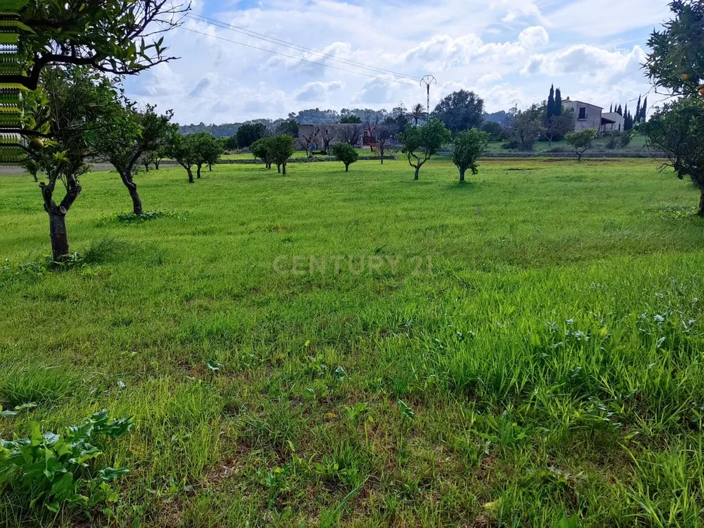 Moderna Moradia T4 em Selva, Mallorca - 650.000€ - Image 36