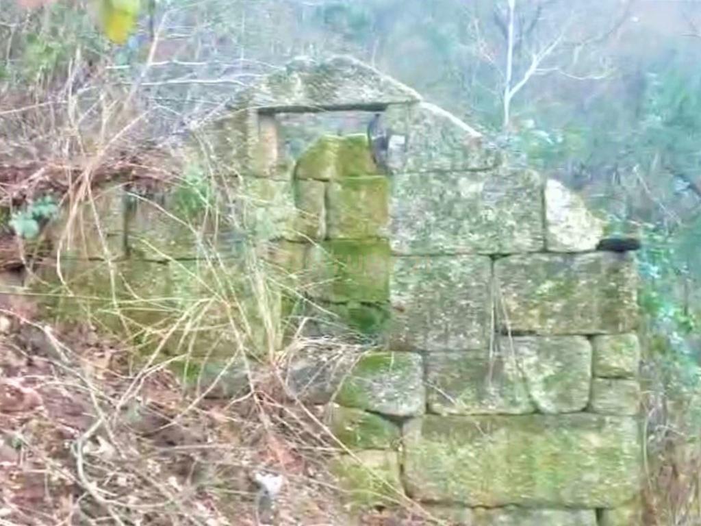 Quinta com moradia em Gondar, perto da Amarante, Porto à face da estrada com muito terreno e água - Image 42