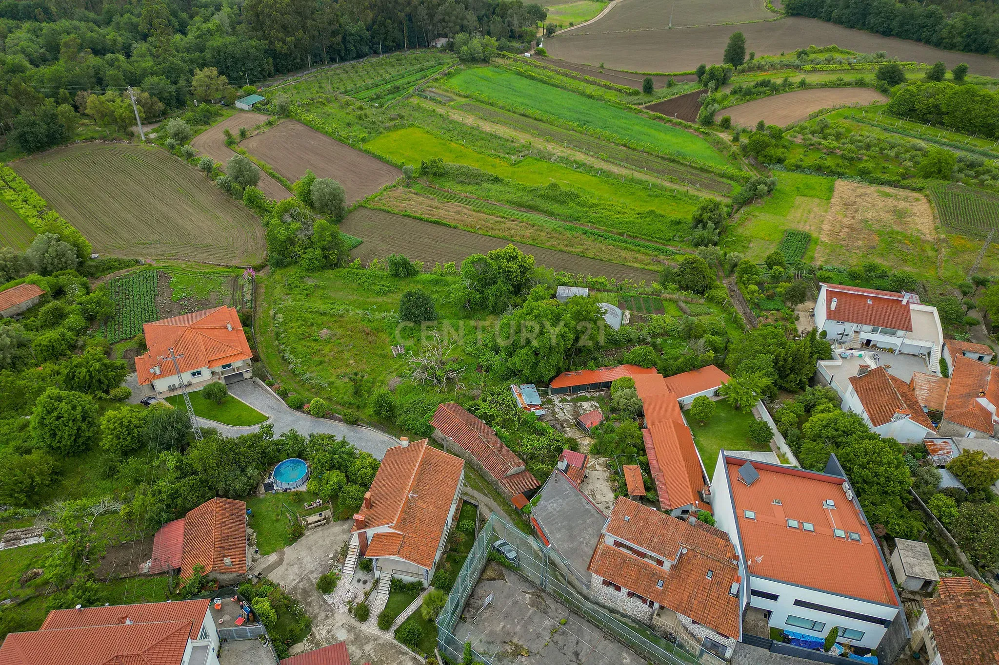 Fotografia 10 de Casa Antiga com Vista Campestre em Aguiar, Barcelos