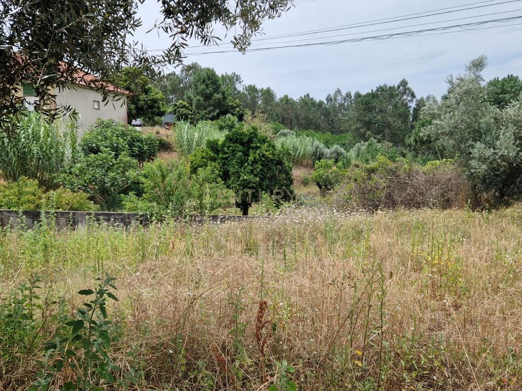 Terreno com 2020m2 para construção em Carnide - Image 11