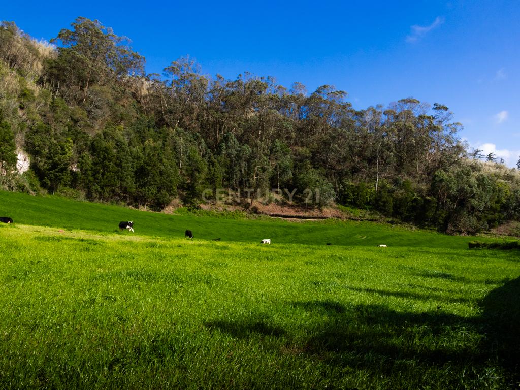 Terreno urbano para construção na Caloura, Lagoa - Vista Mar - Image 27