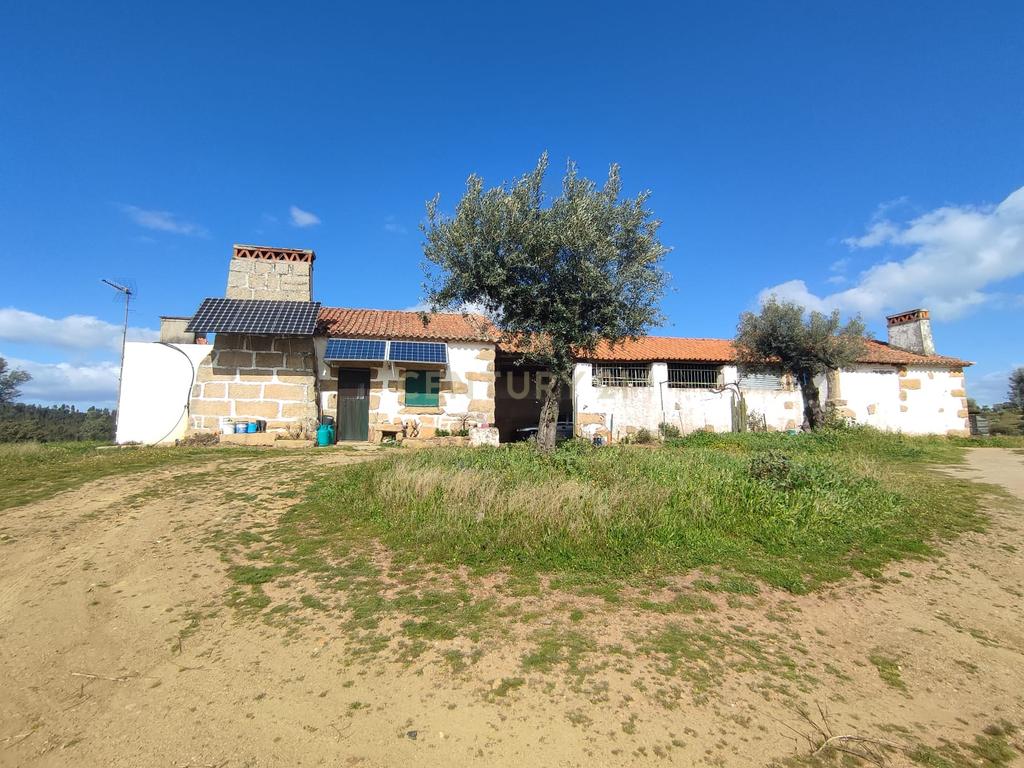 Quinta 54ha, Escalos de Baixo, Castelo Branco - Image 1