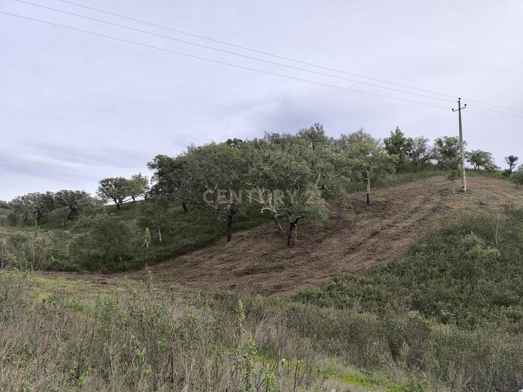 Terreno sito em S. Marcos da Serra, junto à IC1 e à A2 Lisboa/Algarve - Image 17