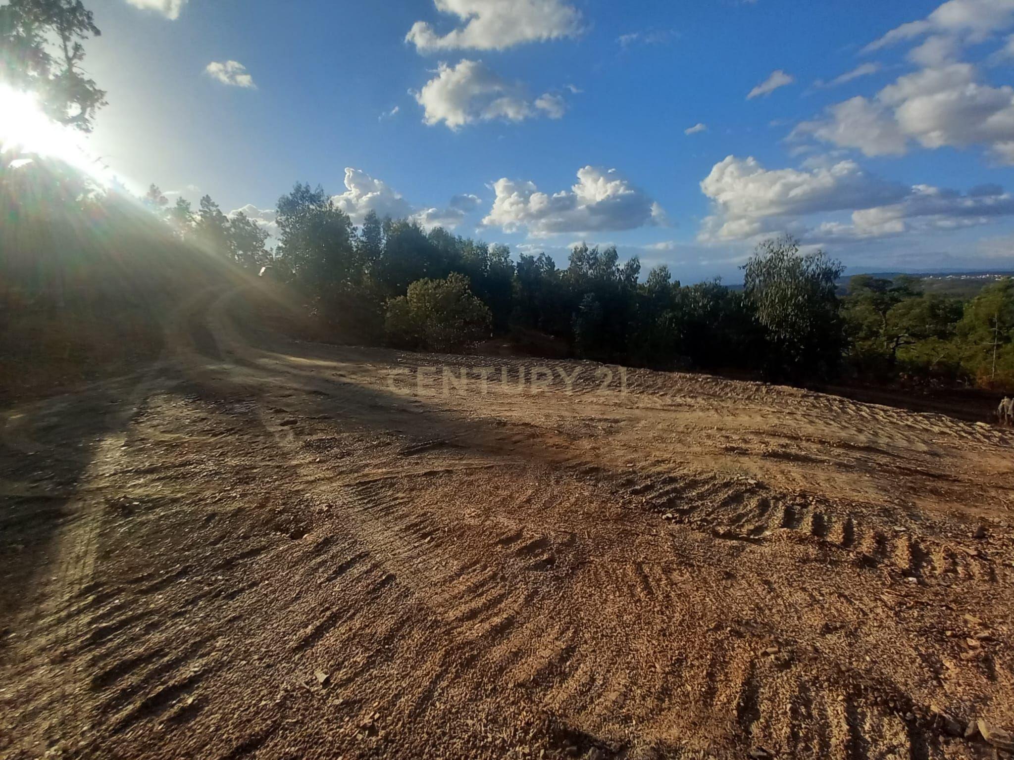 Fotografia 8 de Terreno em Benquerenças, Castelo Branco - 2800m²