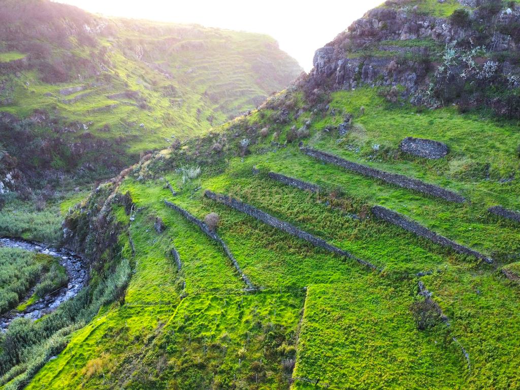 Terreno para Construção na Ponta do Pargo – 8.000 m² em Vale Privilegiado Próximo ao Novo Campo de Golfe - Image 2