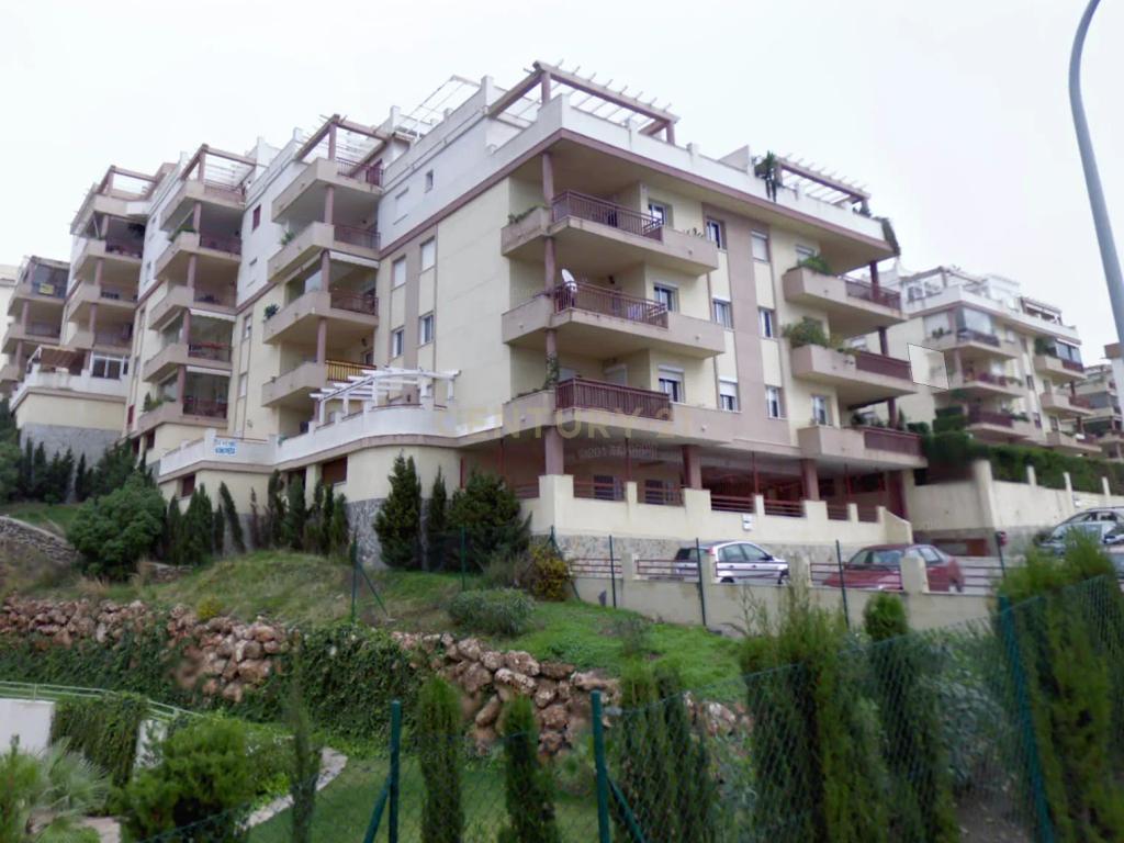  - Image 6