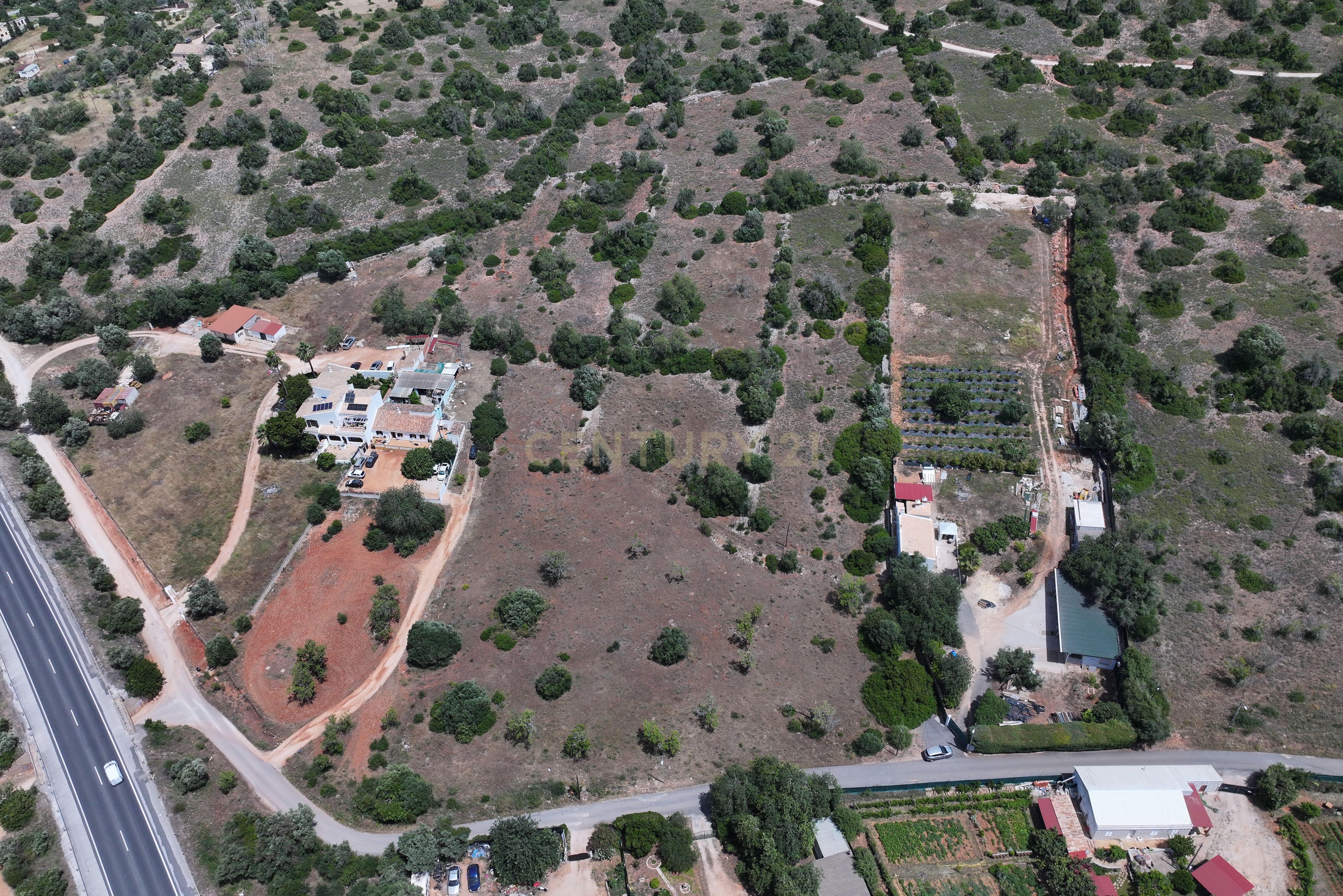 Fotografia 4 de Terreno rústico localizado em Gateiras em Tunes, com uma área total de 14880m².