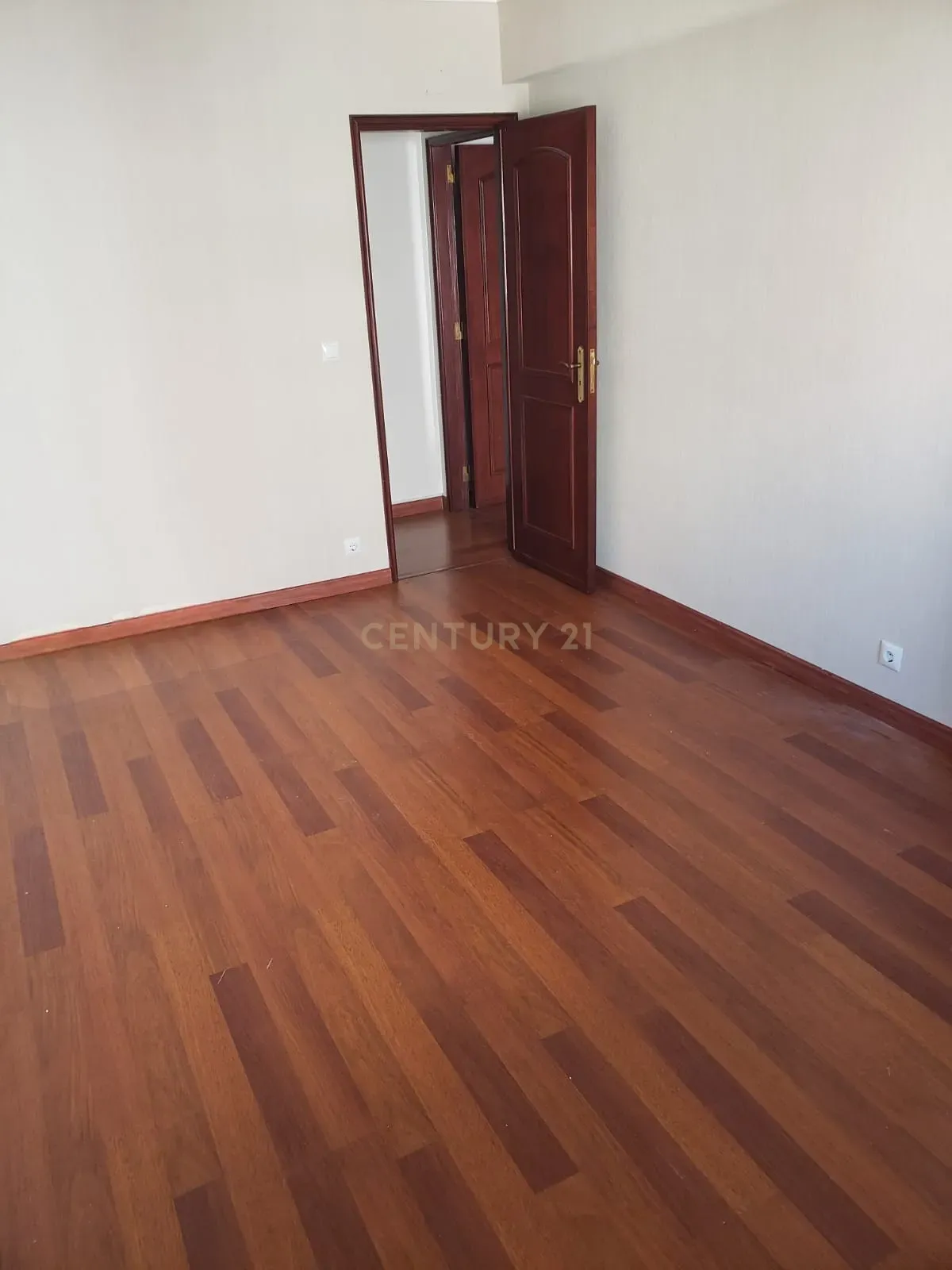 T2 em S. Marcos - Image 13