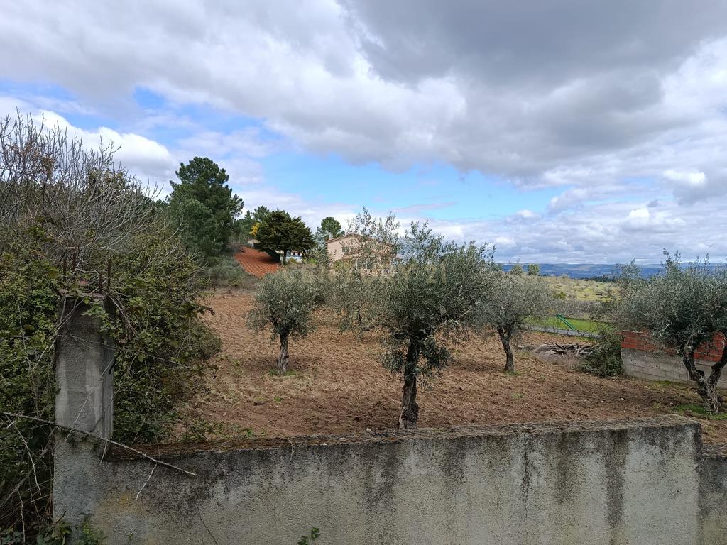 Terreno para Construção em Vale de Gouvinhas - Mirandela - Image 6