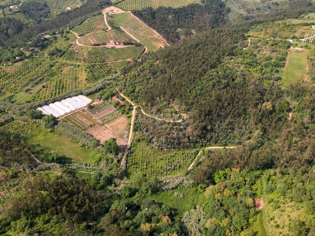 Terreno Rústico com mais de 1.5 Hectares em Mafra – Vista Linda e Perto da Ericeira! - Image 8
