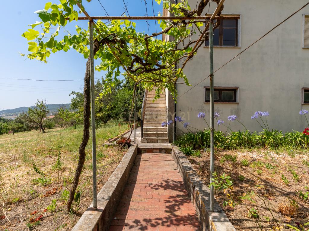 Quinta com 9320m2 em São João dos Montes (Alhandra) - Image 9