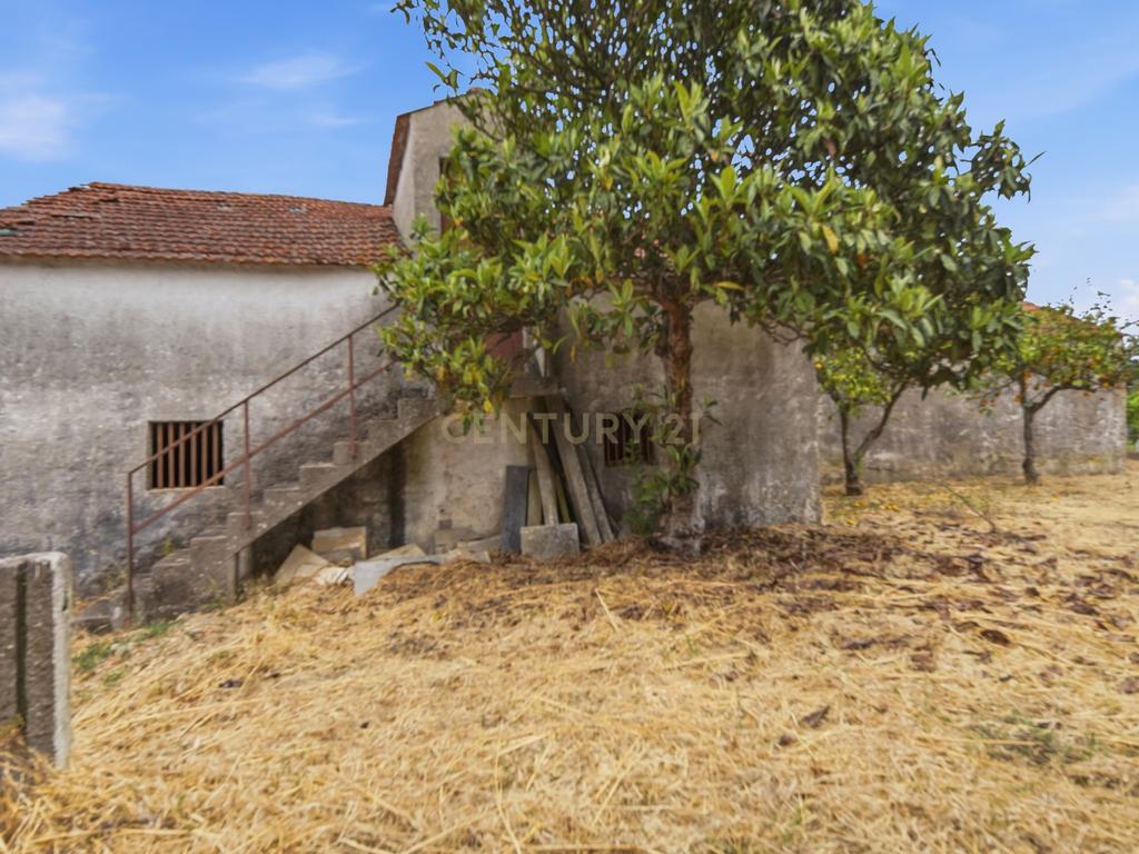 Quinta de Charme com Moradia Bifamiliar T7 e Potencial Único | Carril, Junceira – Tomar - Image 72