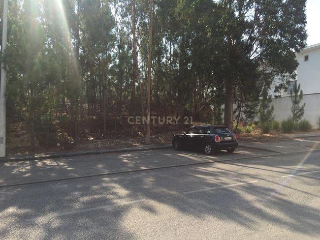 Lote terreno para construção - Telheiro - Image 3