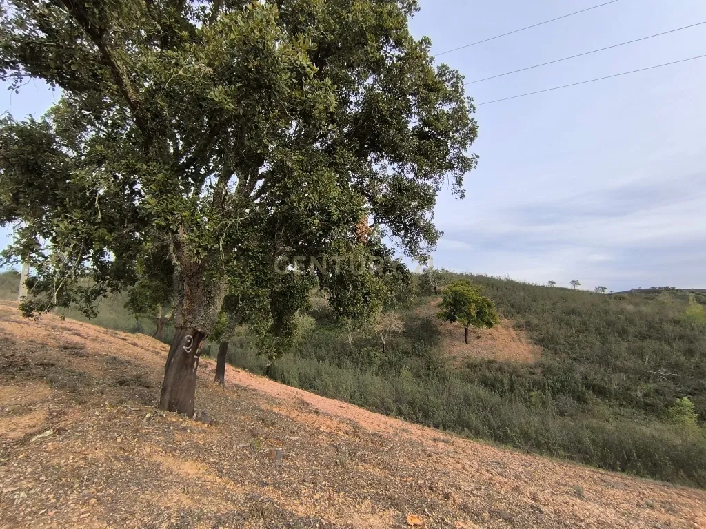 Terreno sito em S. Marcos da Serra, junto à IC1 e à A2 Lisboa/Algarve - Image 9