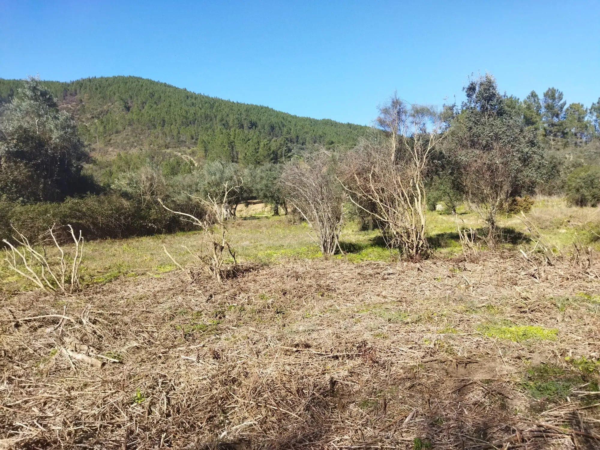 Quintinha em Sesmo, Junto á praia fluvial, Sarzedas - Image 22