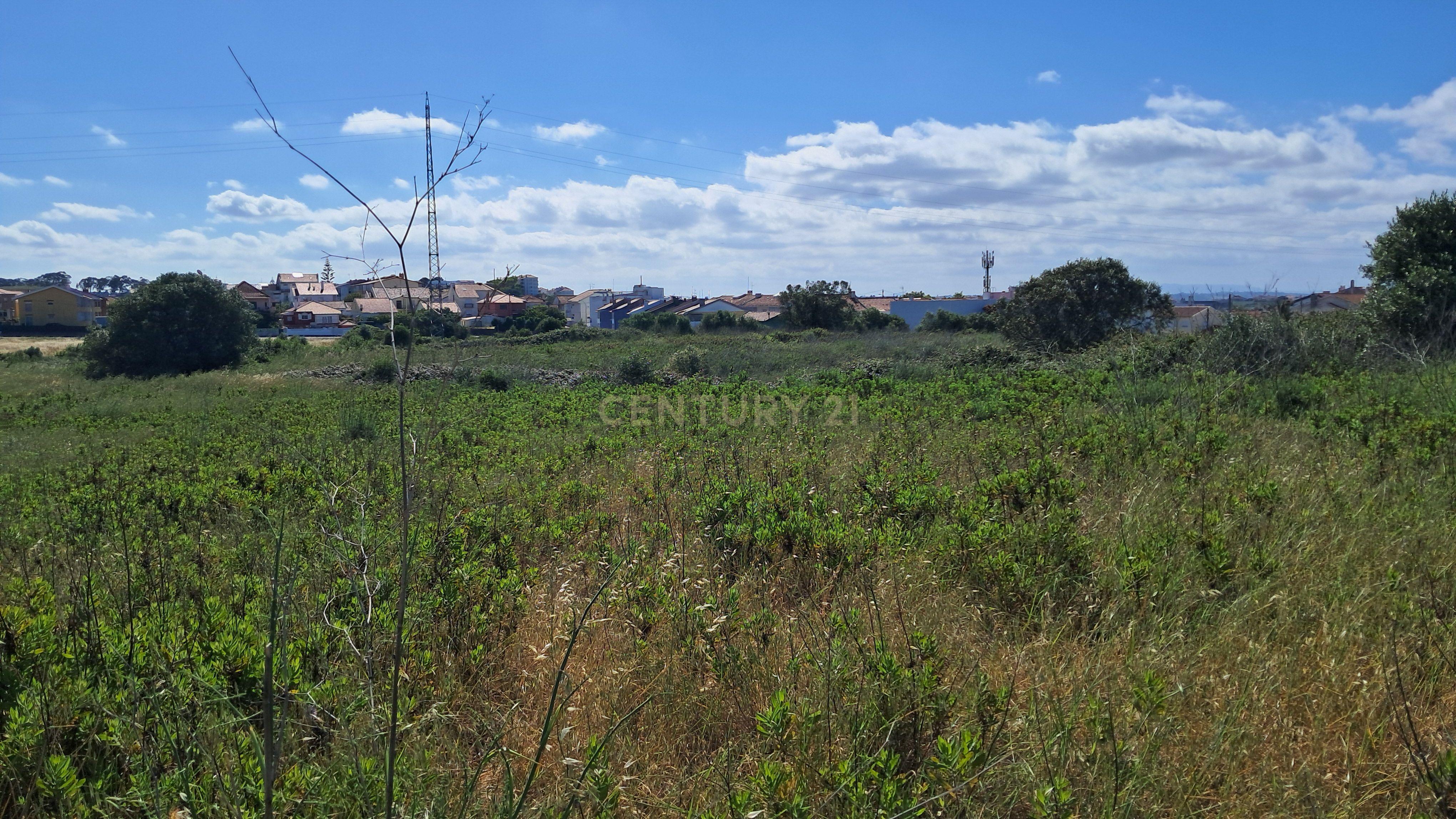 Fotografia 12 de Terreno rústico urbanizável para venda em Porto Salvo - Oeiras