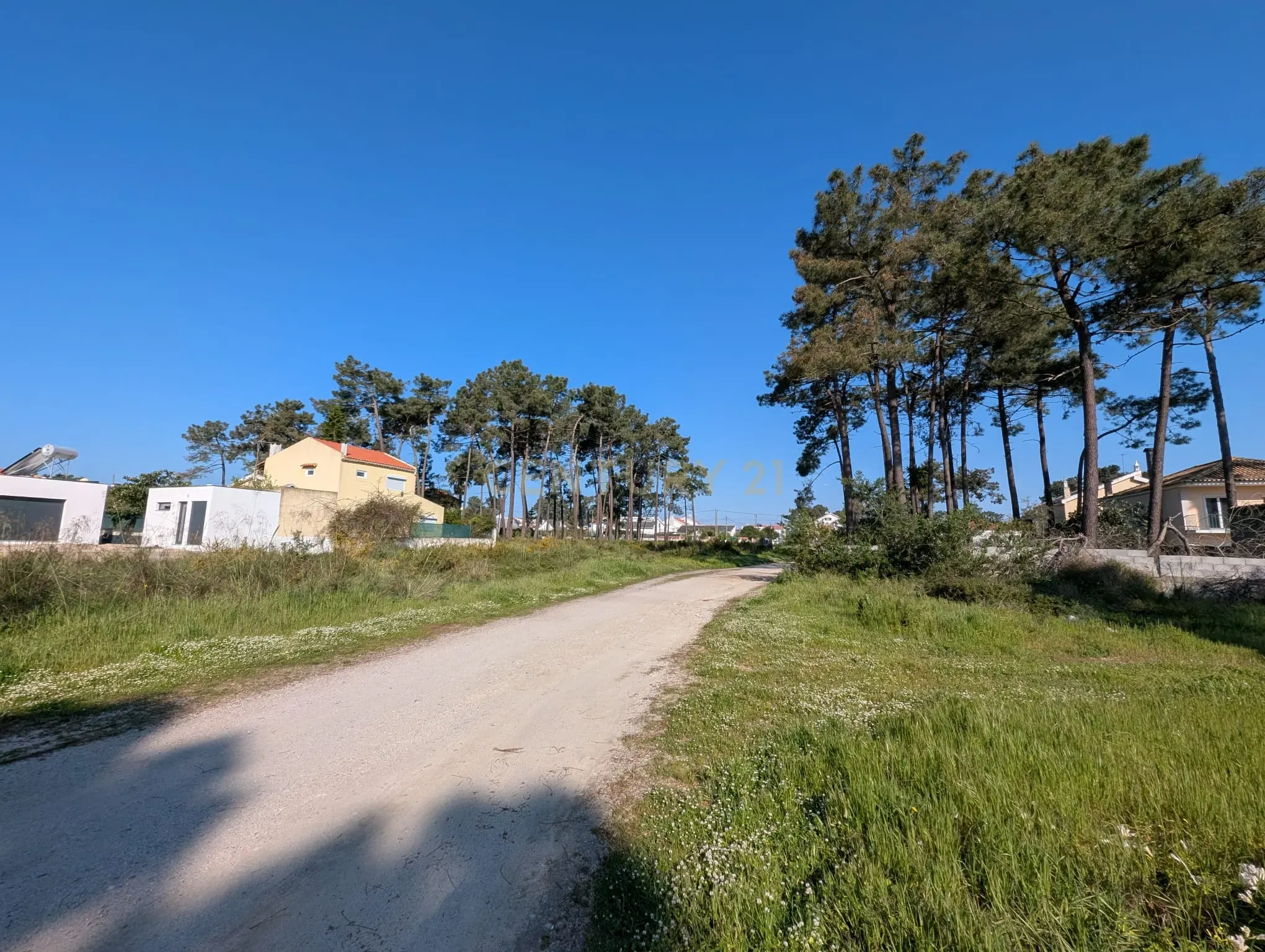 Fotografia 6 de Terreno rústico com 985m2 Aroeira, para lotear