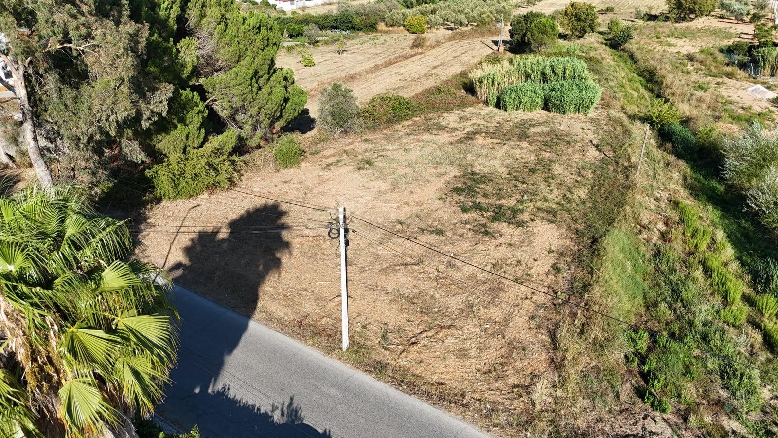 Fotografia 4 de Terreno Urbano de Grande Dimensão | 3.000 m² | Entroncamento