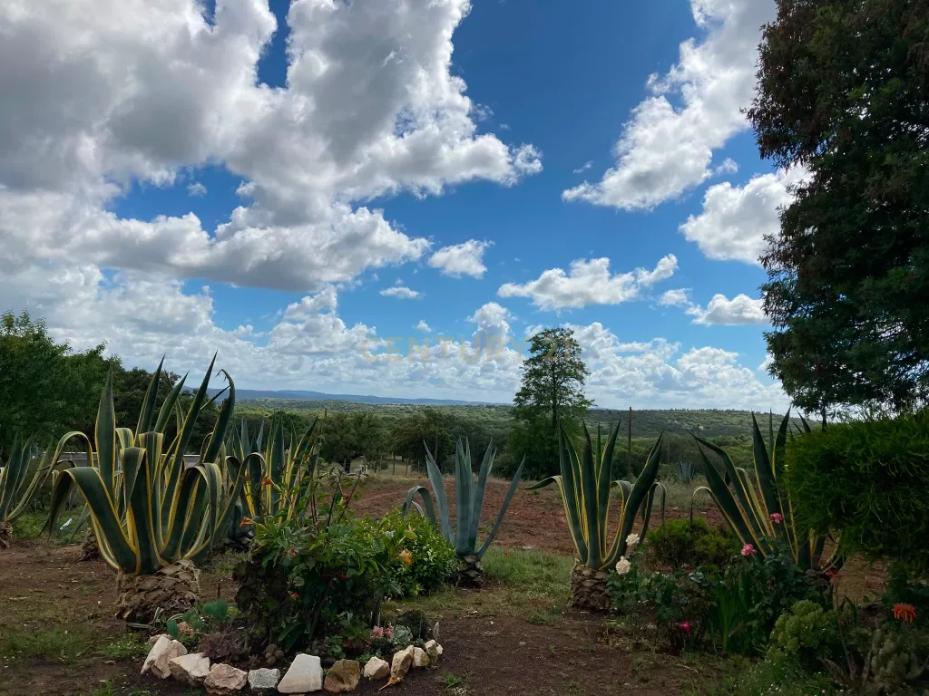 Herdade da Pedra Longa — Um Património Único no Coração do Alentejo - Image 4