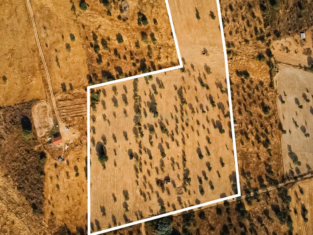 Propriedade rústica com potencial agrícola, habitacional e turístico – 3,12 hectares – Nisa - Image 18