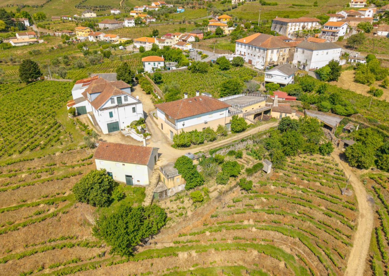Fotografia 2 de Duas quintas com 30ha para venda em Santa Marta de Penaguião, propriedade exclusiva no Douro