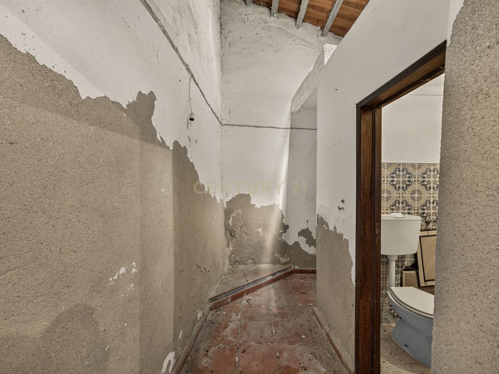 HERDADE COM 5,9 HECTARES, MORADIA E CAVALARIÇA | SANTIAGO DO ESCOURAL - Image 26