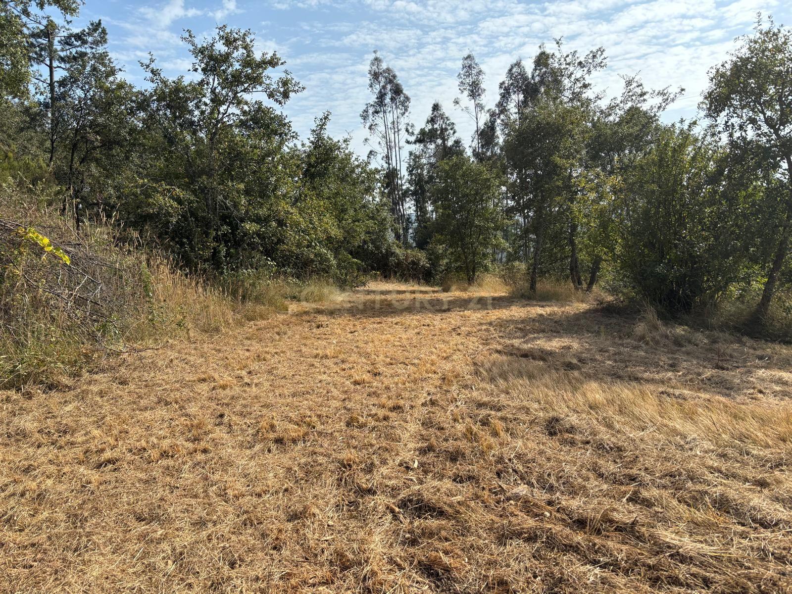Fotografia 6 de Terreno com viabilidade construtiva em Santiago de Litém - Localização Central e Acessível