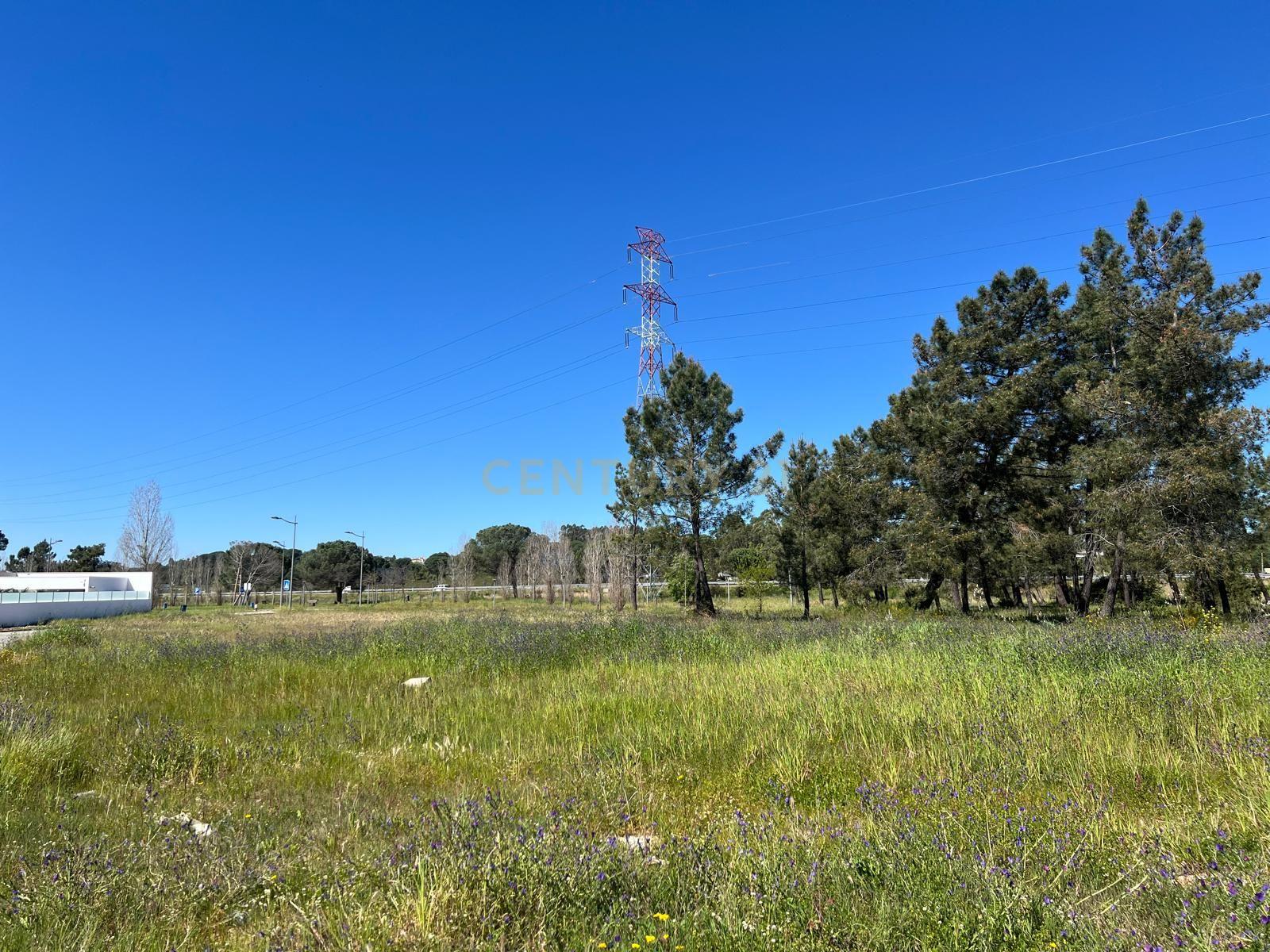 Land for sale in Entroncamento, Portugal — €77,000