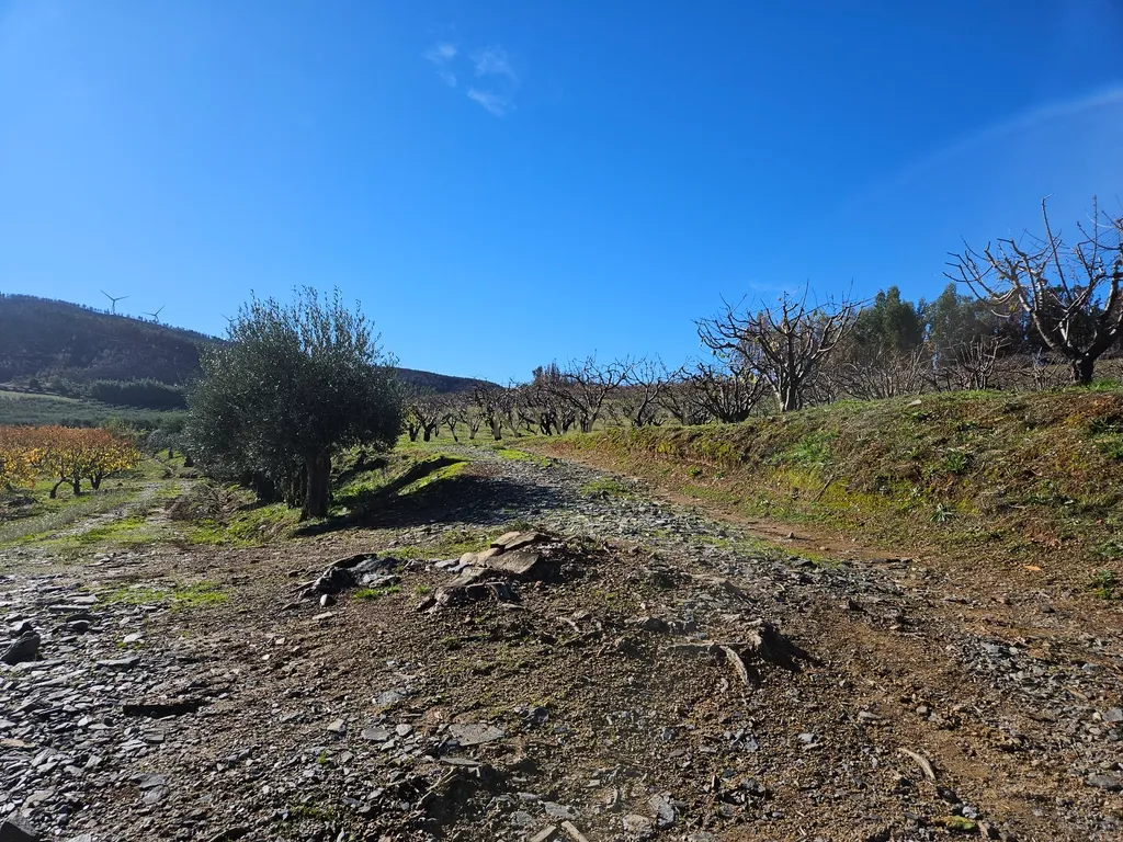 Quinta de Excelência Agrícola na Região Premium do Fundão: 32 ha de Alta Produtividade - Image 3