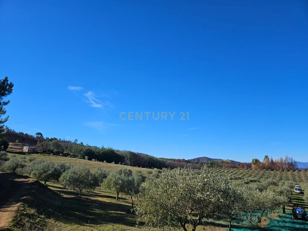 Quinta de Excelência Agrícola na Região Premium do Fundão: 32 ha de Alta Produtividade - Image 30