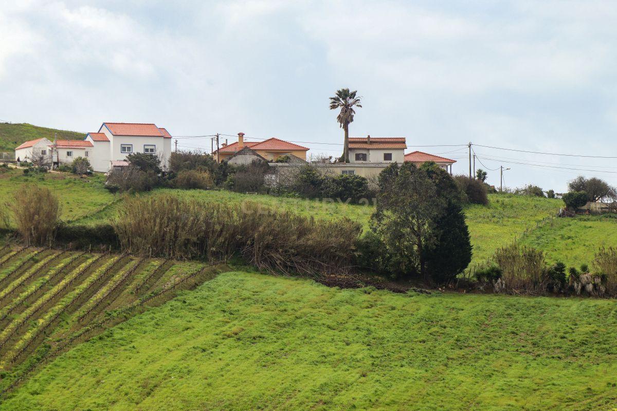 Moradia T2 + armazém situados em Ventosa, em Torres Vedras. - Image 8