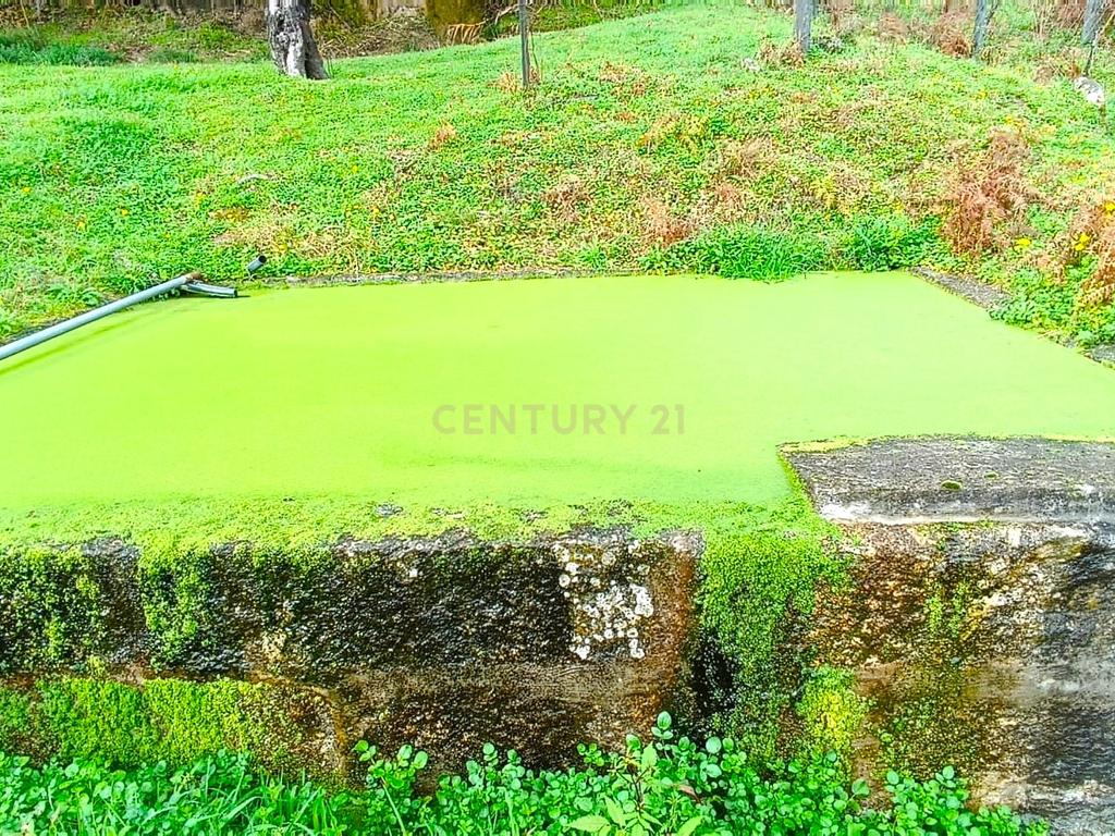 Belíssima ruína em terreno verdejante com vista deslumbrante para o Rio Douro, Baião, Porto - Image 25