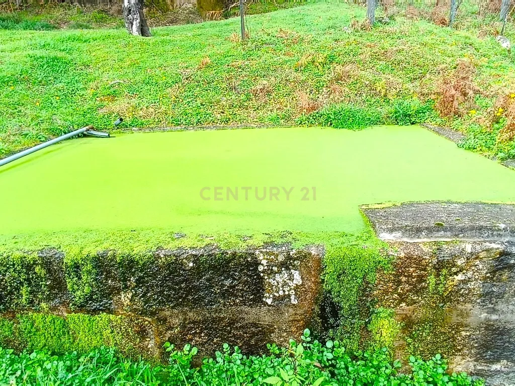 Belíssima ruína em terreno verdejante com vista deslumbrante para o Rio Douro, Baião, Porto - Image 25