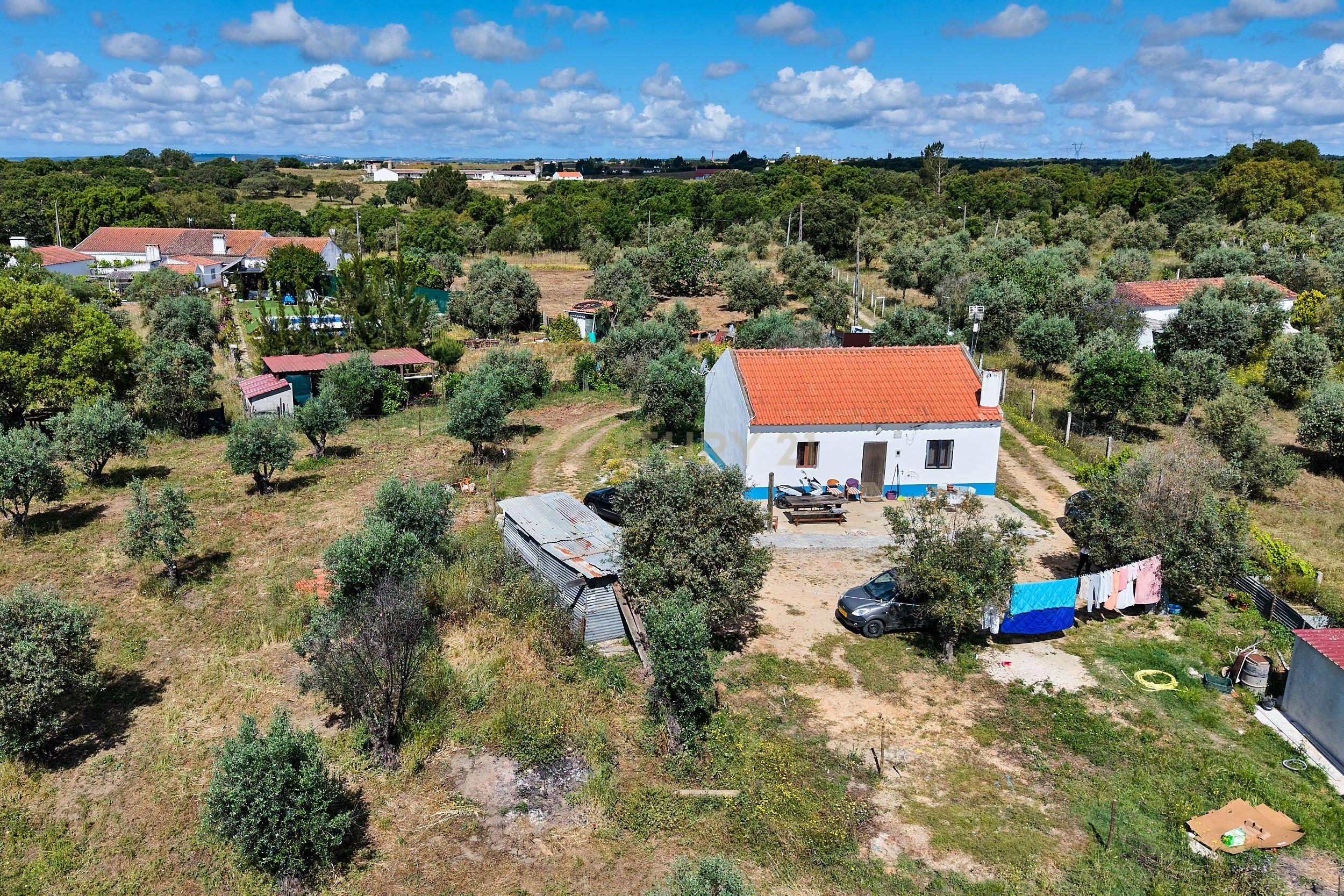 Viva o autêntico Alentejo – Seu refúgio em Ermidas do Sado - Cova do Gato espera por si - Image 33