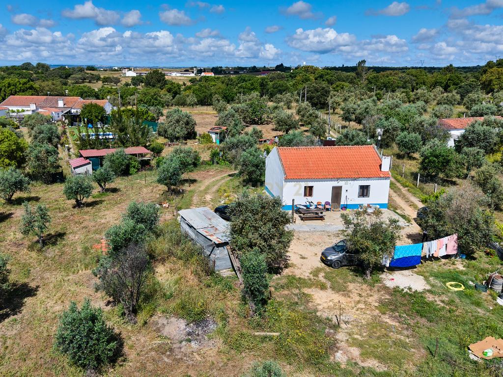 Viva o autêntico Alentejo – Seu refúgio em Ermidas do Sado - Cova do Gato espera por si - Image 33
