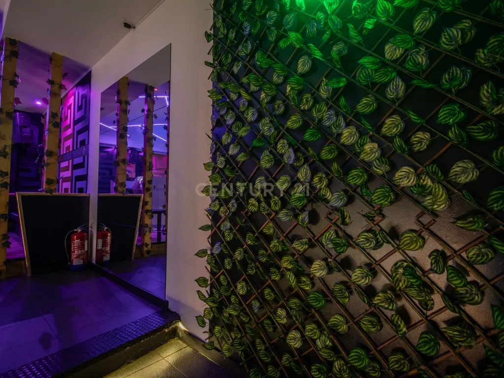 Trespasse – Bar/Discoteca na Figueira da Foz - Image 22