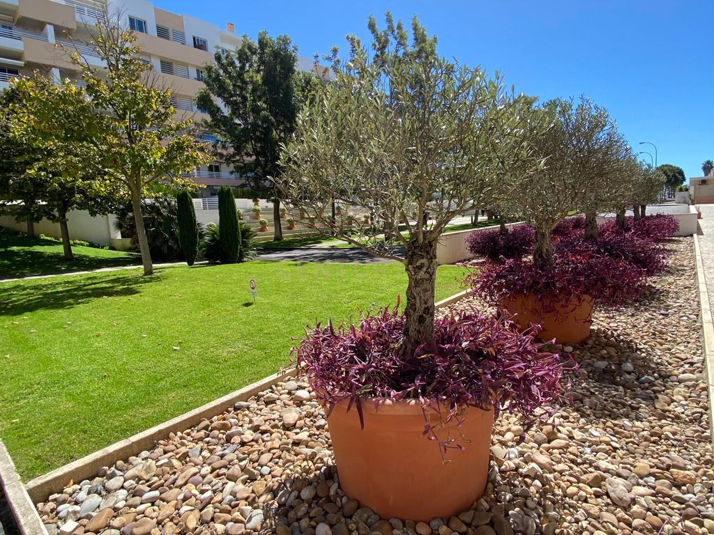 T4 Condominio Fechado com Vista mar, jardins, piscinas, ginasio e segurança 24hrs - Image 12