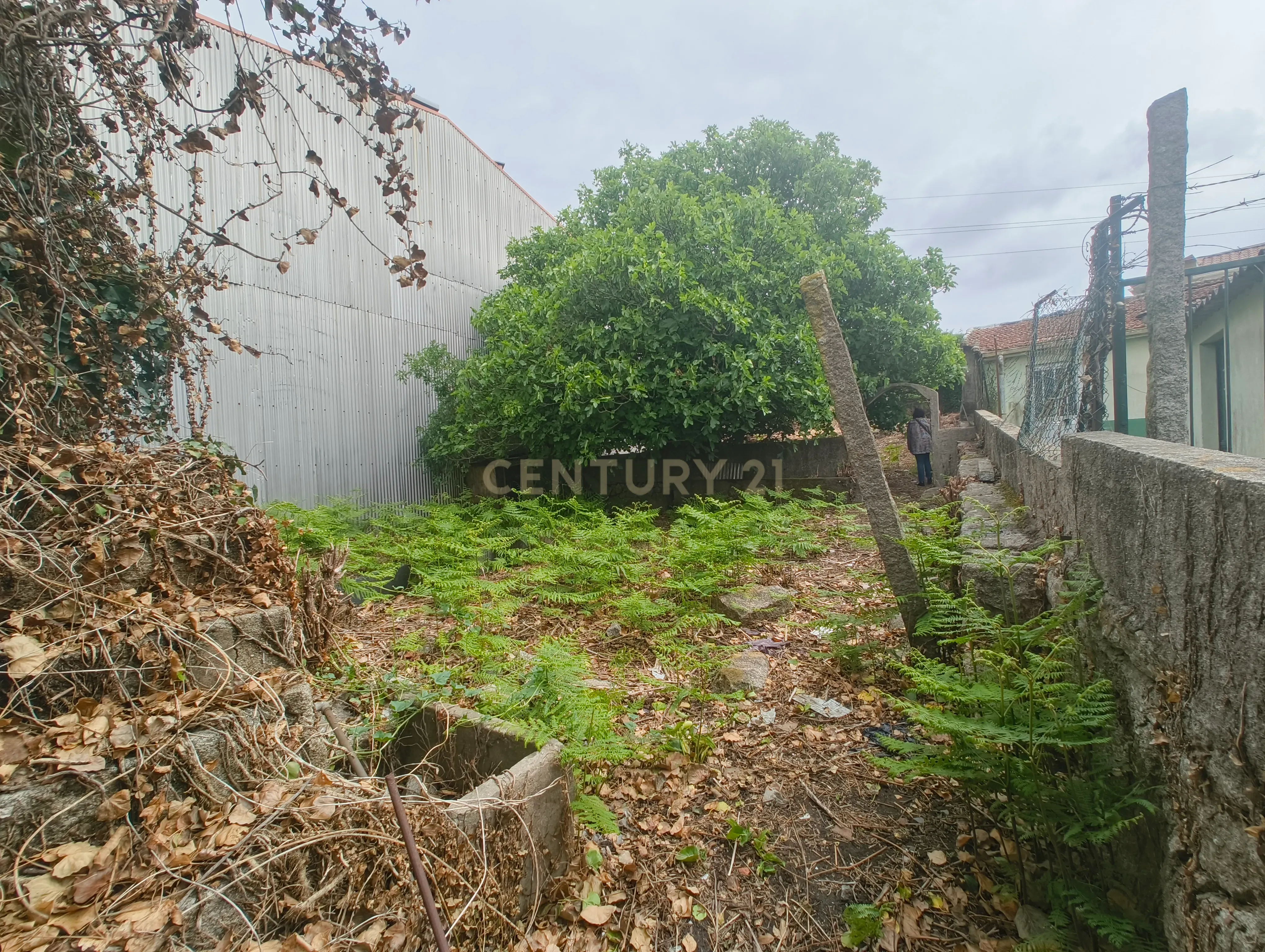 Fotografia 5 de Terreno às Antas para construção em altura