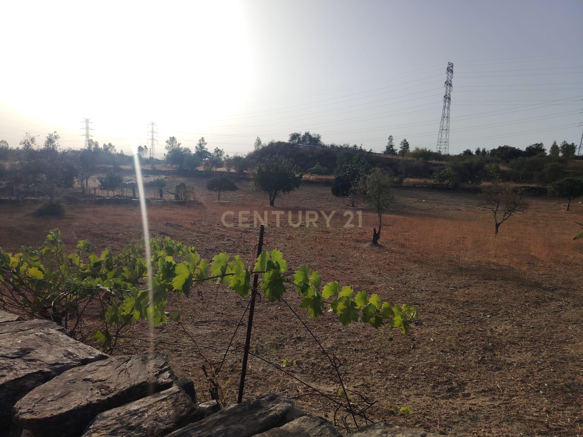 Fotografia 4 de OPORTUNIDADE DE INVESTIMENTO | TERRENO RÚSTICO, AMARELOS