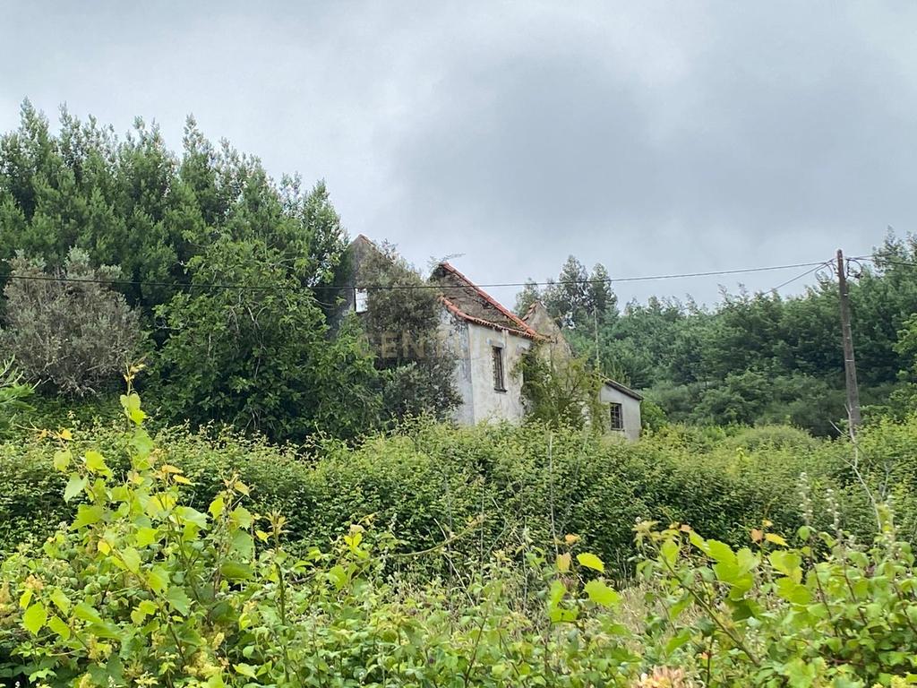 Quinta com Ruína - Oportunidade de Negócio - Image 20