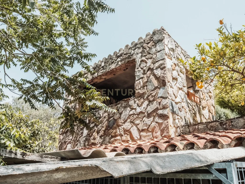 Herdade de Charme em Monte Redondo - Avis - Image 63