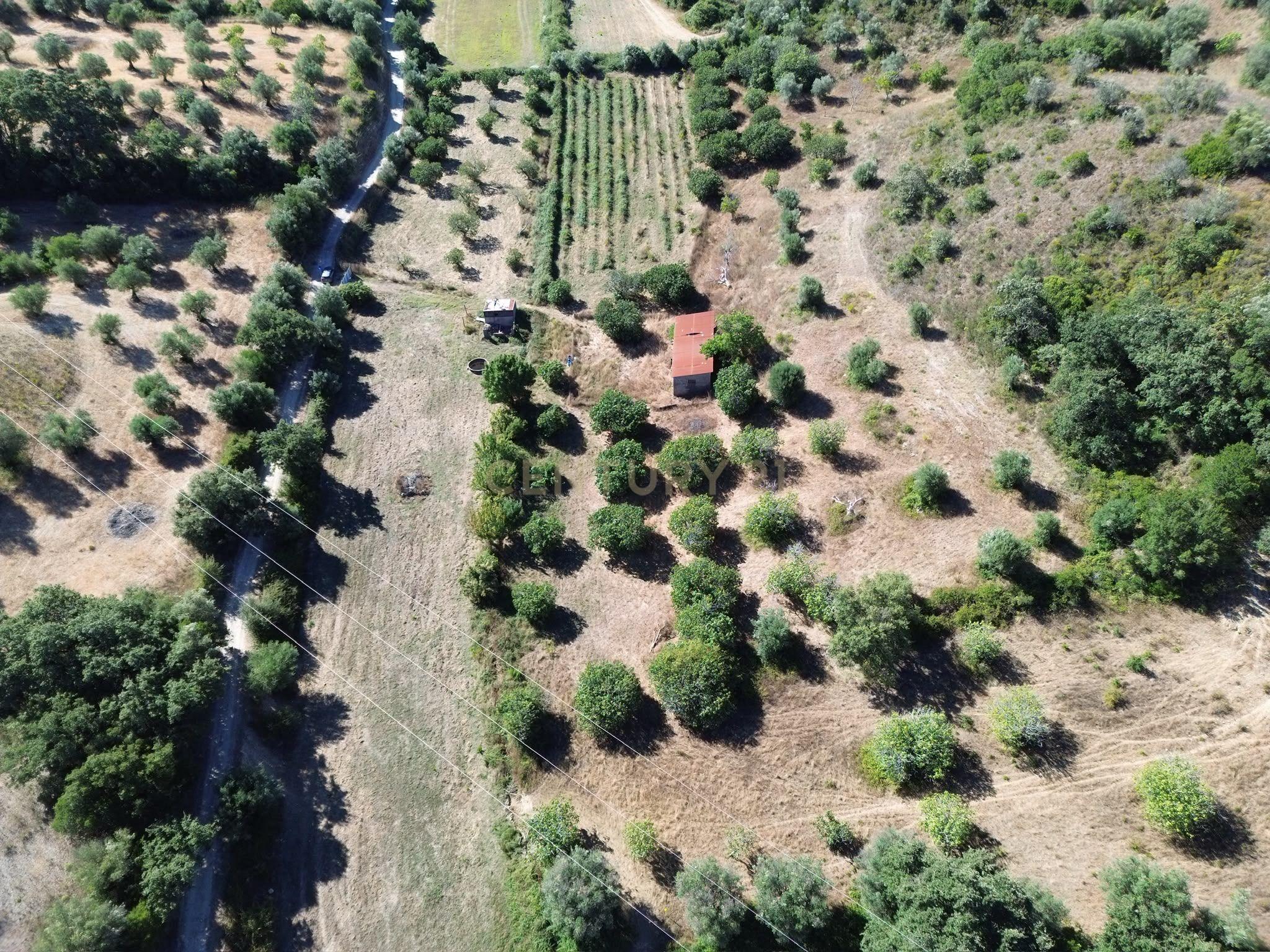 Fotografia 9 de Terreno Rústico com 29.880 m² nas Lapas, Torres Novas