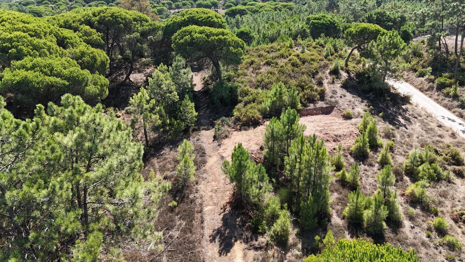 Fotografia 7 de Terreno com área de 10.000m2 com projeto aprovado perto da Aldeia do Meco
