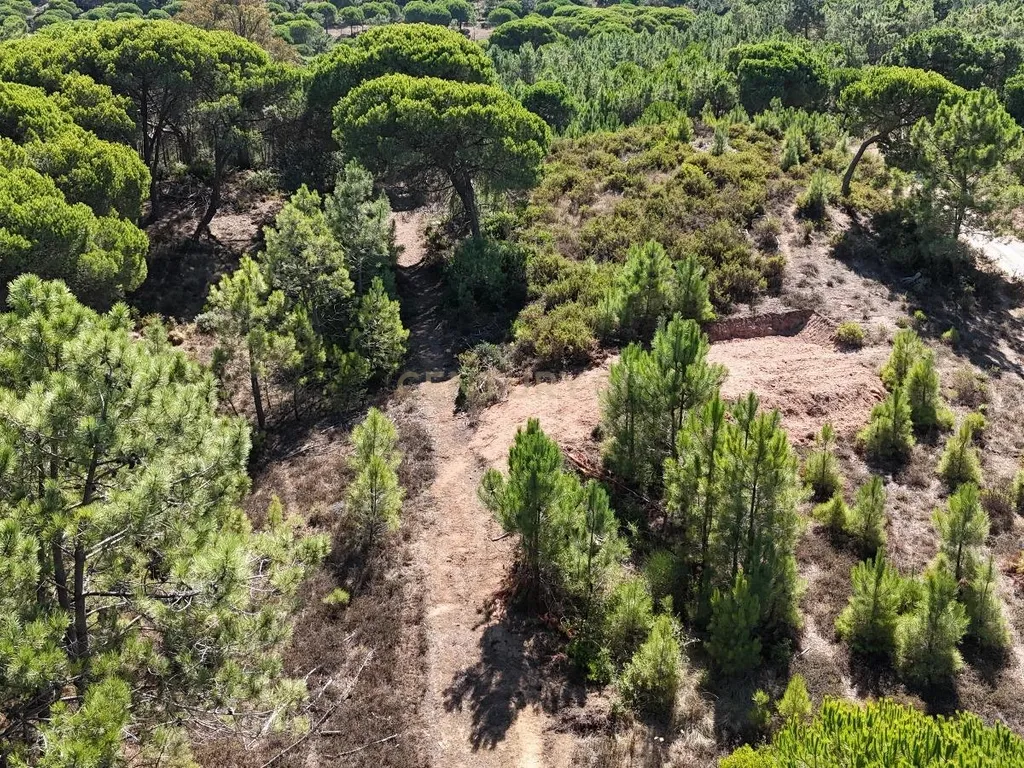 Terreno com área de 10.000m2 com projeto aprovado perto da Aldeia do Meco - Image 7