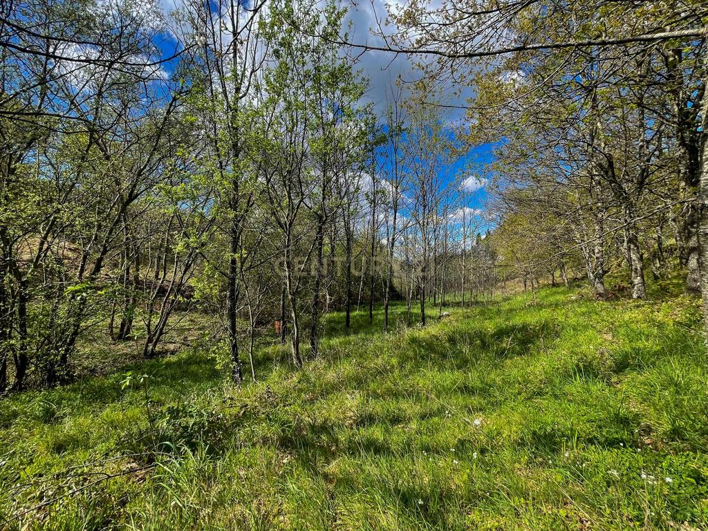 Quinta de Santa Guilha | Tradição, Natureza e Charme em Gouveia - Image 5