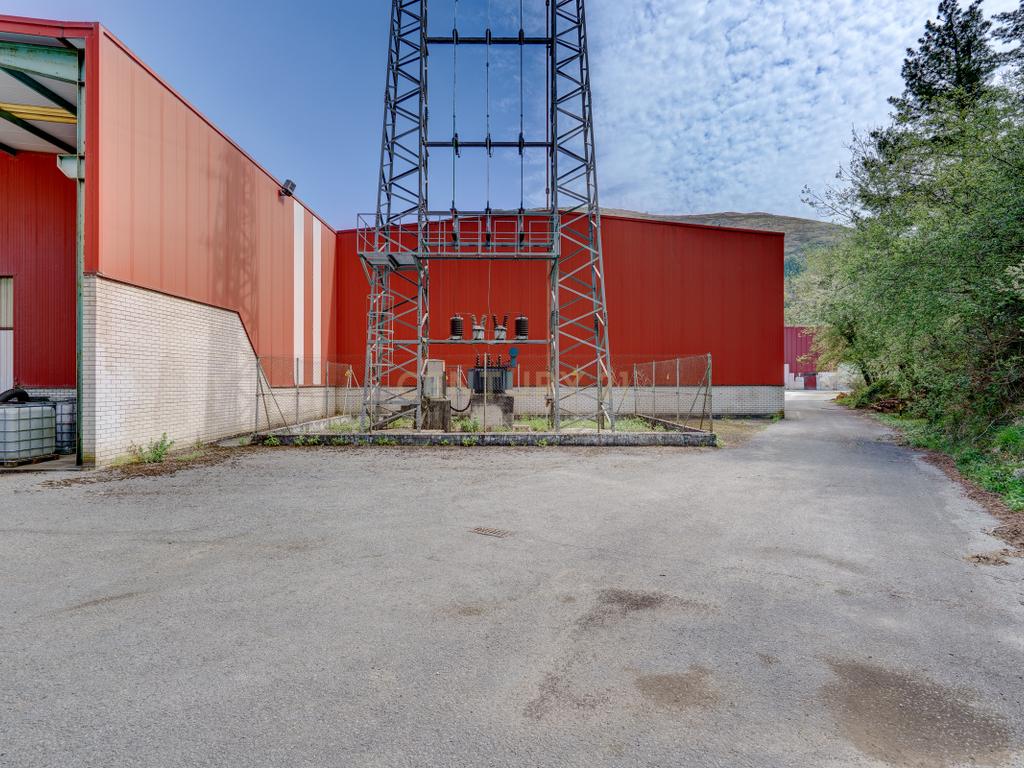  - Image 12