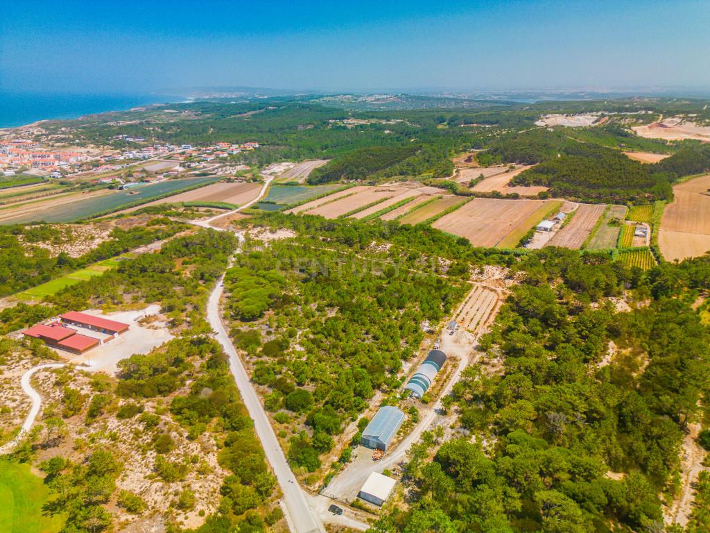 Terreno em Praia D'el Rey - Image 16