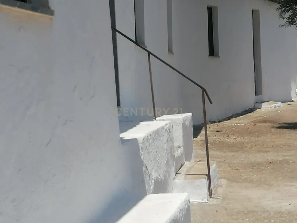 ALBERNOA-BEJA - ALENTEJO- Quinta com 1750 m2. Casa de 229 m2 Cozinha-Sala -3 quartos . Garagem. - Image 32