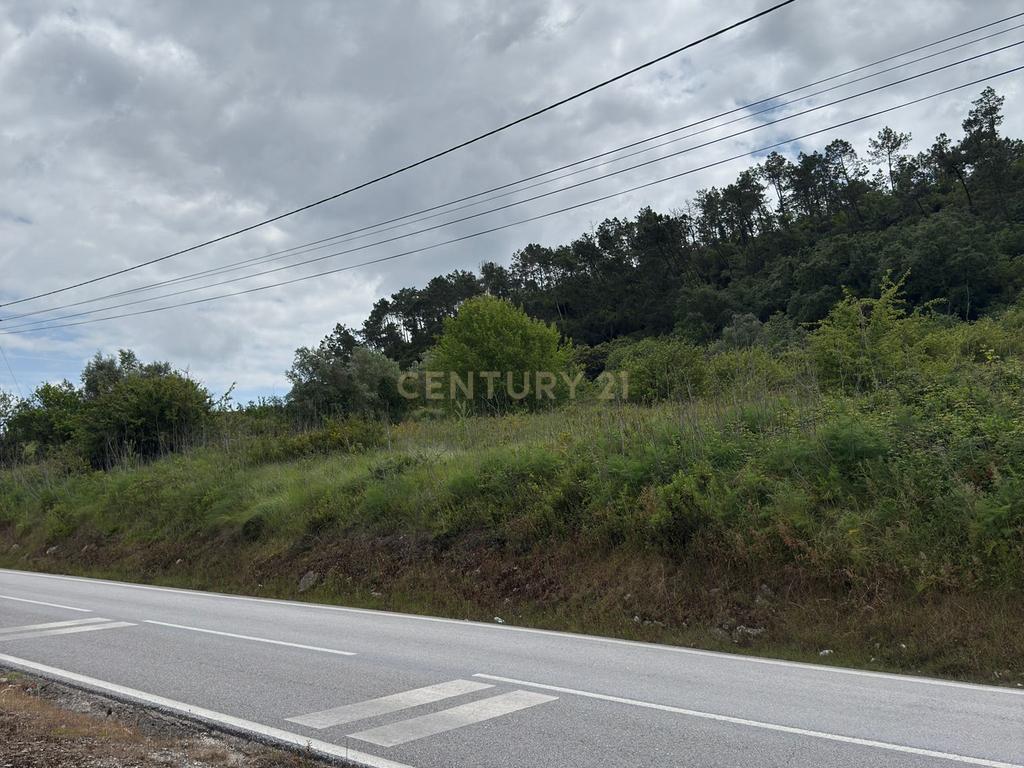 Terreno à venda em Alcobaça – Oportunidade única! - Image 10