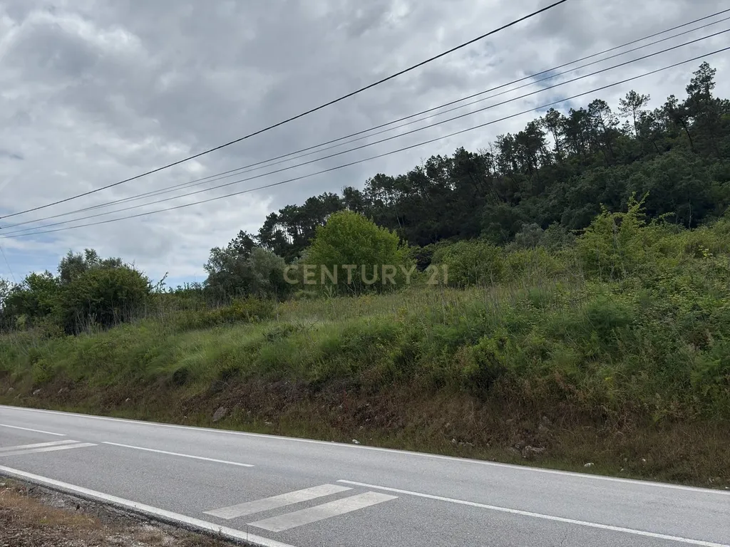 Terreno à venda em Alcobaça – Oportunidade única! - Image 10
